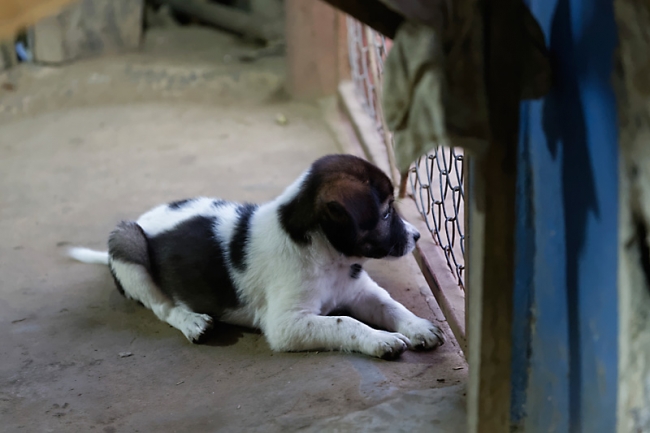Famille et amis-MAR14-079